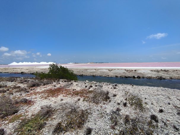 Zicht op zoutvlakten met roze water en een blauwe lucht op de achtergrond.