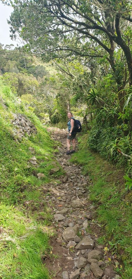 Person walking on a rocky path through lush greenery.