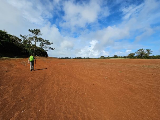 Een persoon wandelt over een uitgestrekt, roodbruin landschap onder een blauwe lucht.