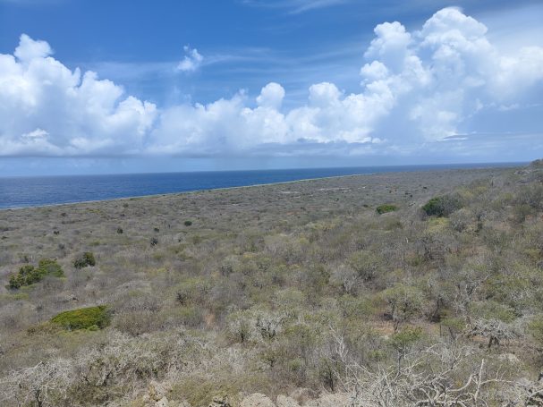 Uitgestrekt grasland met blauwe lucht en indrukwekkende wolken boven de oceaan.